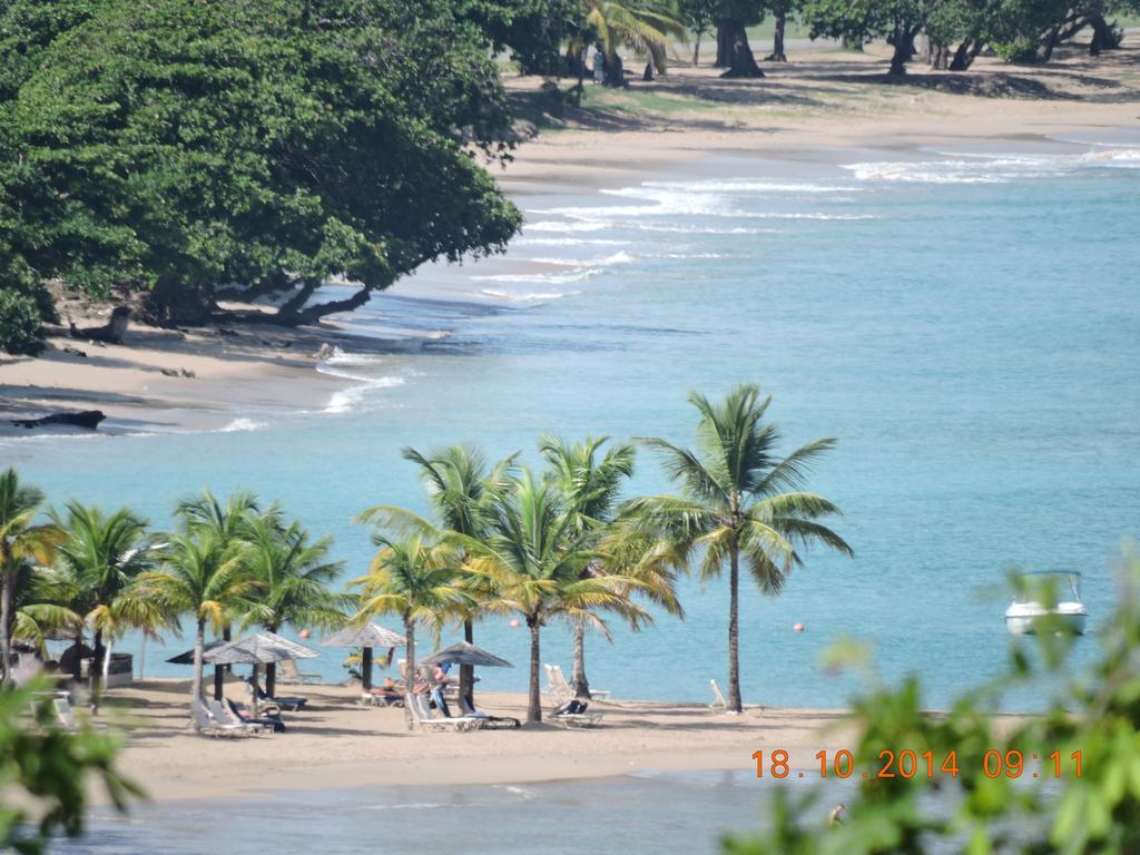 Amazing Beach View Apartments Castries Bagian luar foto